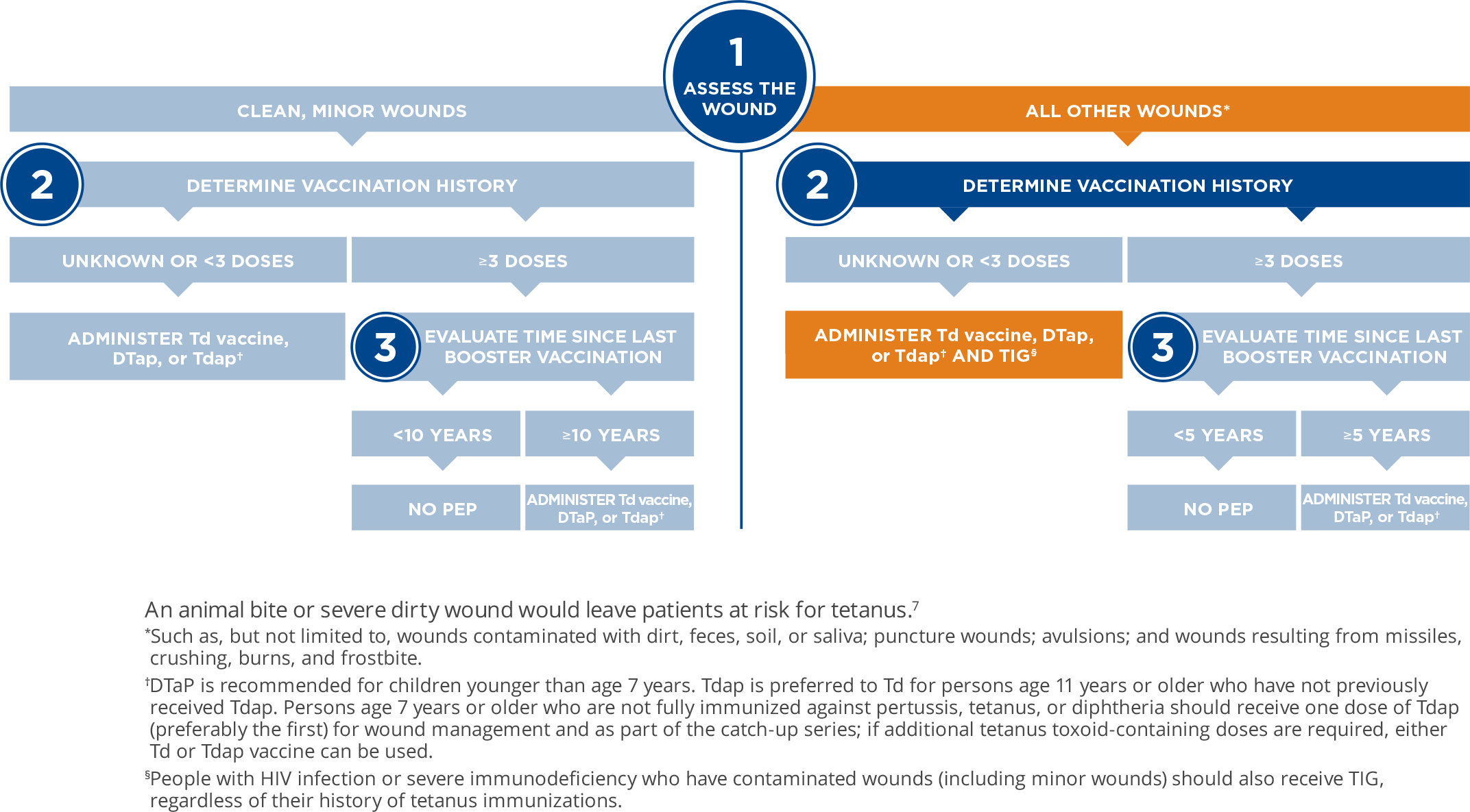 Chart for Health Care Professionals about tetanus in wound management